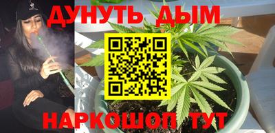 МДПВ Будённовск